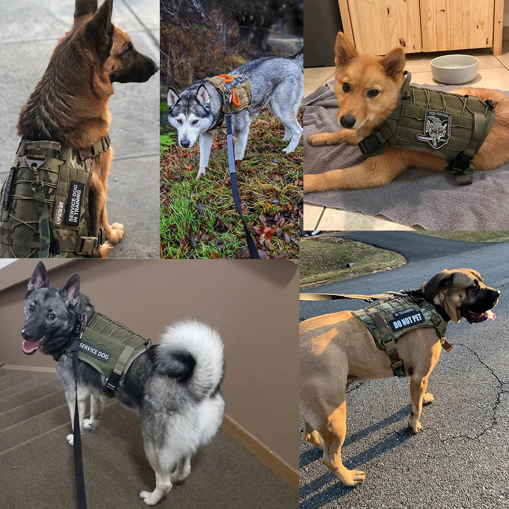 PawGuard Pro Tactical Harness